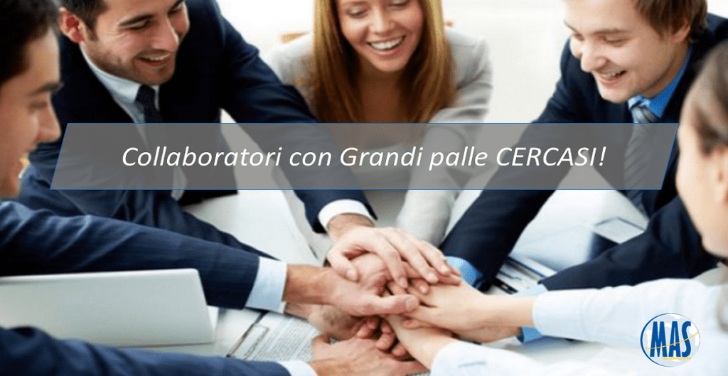 ricerca collaboratori